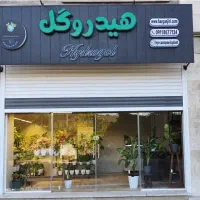 روشی نوین برای نگهداری گل های آپارتمانی