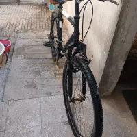 دوچرخه ۲۶ دماوندطوق حرفه ای