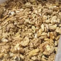 مغز  درجه یک