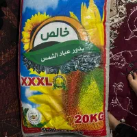 ‌اه‌واز