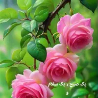 مشاور و دبیر درس تفکر دبیرستان دخترانه