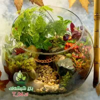 تراریوم ، هدیه ویژه روز مادر