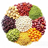 لوبیا *عدس * لپه *نخود * حبوبات  کالا برگ فعال است