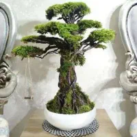 گل های مصنوعی|گل مصنوعی|ورامین, ورامین|دیوار