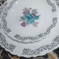 آرکوپال پارس اپال ۵دست|ظروف سرو و پذیرایی|قم, شهرک سازمان آب|دیوار