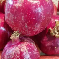 انار درجه یک رباب قصردشتی دانه قرمز میخوش|خوردنی و آشامیدنی|شیراز, میرزاکوچک خان|دیوار