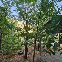 فروش زمین و باغ گیلاس|فروش زمین و ملک کلنگی|کن, |دیوار