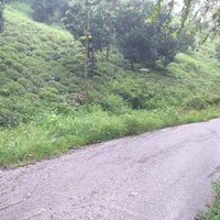 باغ 1000 متری مشجر لب رودخانه|فروش زمین و ملک کلنگی|رانکوه, |دیوار