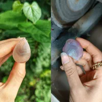 آموزش گوهرتراشی|خدمات آموزشی|لاهیجان, شیشه گران|دیوار