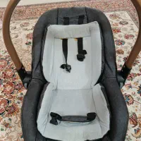 کریر برند دلیجان