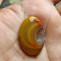 نگین های شجر عالی|جواهرات|سرایان, |دیوار