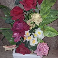 دکوری ،کفش،دوچرخه|دوچرخه، اسکیت، اسکوتر|کنگاور, |دیوار