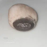 سنگ قدیمی|کلکسیون اشیاء عتیقه|اهر, |دیوار