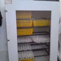 دستگاه جوجه کشی هدایت