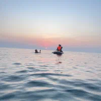 تور خصوصی پدلبرد و فریدایو در کیش|تور و چارتر|کیش, |دیوار