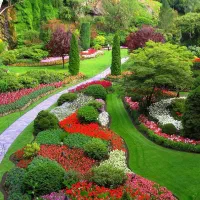 طراحی و اجرای فضای سبز - انواع گل و گیاه|خدمات باغبانی و درختکاری|تهران, دارآباد|دیوار