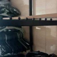 فروش رگال و مانکن