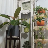 ساعت
