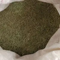 رزماری خشک اکلیل کوهی دمنوش انواع بیماری
