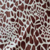 پتو مسافرتی (اصل)|رختخواب، بالش، پتو|دماوند, گیلاوند|دیوار