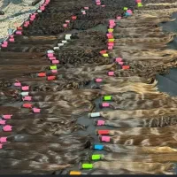 خریدار اصلی موی طبیعی ورنگی بالای 50سانت بدون واسط