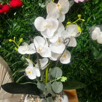 دکوری وگلدان