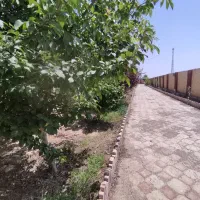 باغ ویلا ۱۳۰۰ متری اب برق گاز کنتور قانونی ماریان|فروش خانه و ویلا|مشهد, درزآب|دیوار