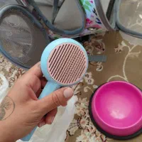 کیف ،باکس خاک،ظرف غذا و شانه تخلیه گربه|لوازم جانبی حیوانات|خمینی‌شهر, |دیوار