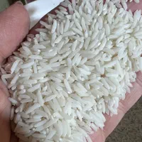 برنج هاشمی درجه یک خوش طعم و خوش پخت