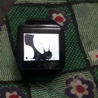 روشن میشه ولی ال سی خرابه و رم میکرو ۶۴