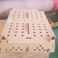 کارتن حمل جوجه و تخم مرغ|عمده‌فروشی|تهران, طرشت|دیوار