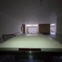 111درحدخشک مدل93|خودرو سواری و وانت|زاهدان, |دیوار