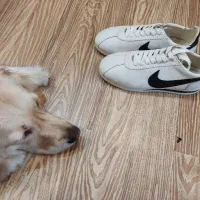 کتانی زنانه