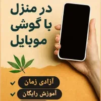 کسب درآمد در خانه