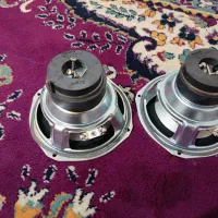 بلند‌گو‌سالم