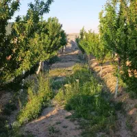 باغ-ویلا-700متری