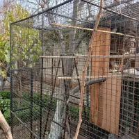 تاسیسات ساختمان