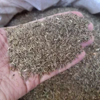 فروش زیره نرمه