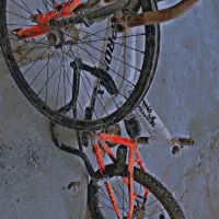 تنه دوچرخه همراه با بعضی وسایل|دوچرخه، اسکیت، اسکوتر|سراوان, |دیوار