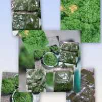 سبزی خورشتی ،فلافل،کبه برنجی