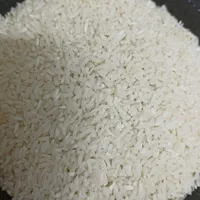 سرلاشه برنج طارم هاشمی کشت اول فریدونکنار امساله|خوردنی و آشامیدنی|اصفهان, پروین|دیوار