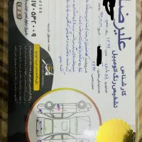 پارس تیو فایو