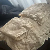 روتختی