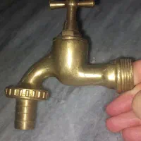 سر شیر برنجه نو