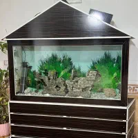 اکواریم