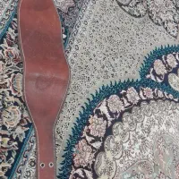 کمربند ورزشی|کیف، کفش، کمربند|فلاورجان, |دیوار