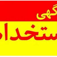 نیروی کار خدمات