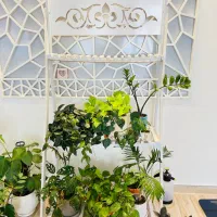 استند گل پی وی سی|کتابخانه، شلف، قفسه‌های دیواری|بیرجند, |دیوار