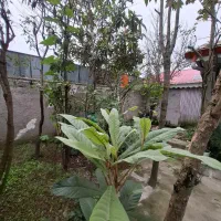 فروش خانه ویلایی/جاده لاکان/۱۵۳متری