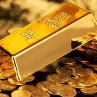 یک قطعه طلا در شیبان پیدا شد
